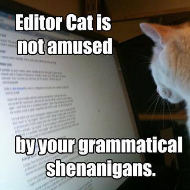 editor cat